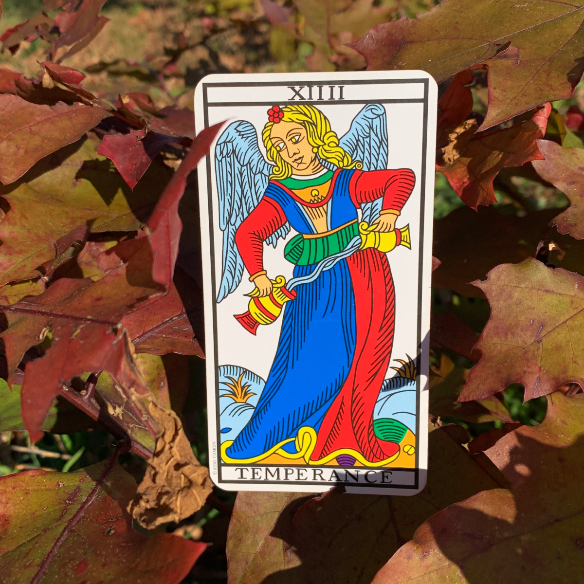 14 • La&nbsp;Temperanza