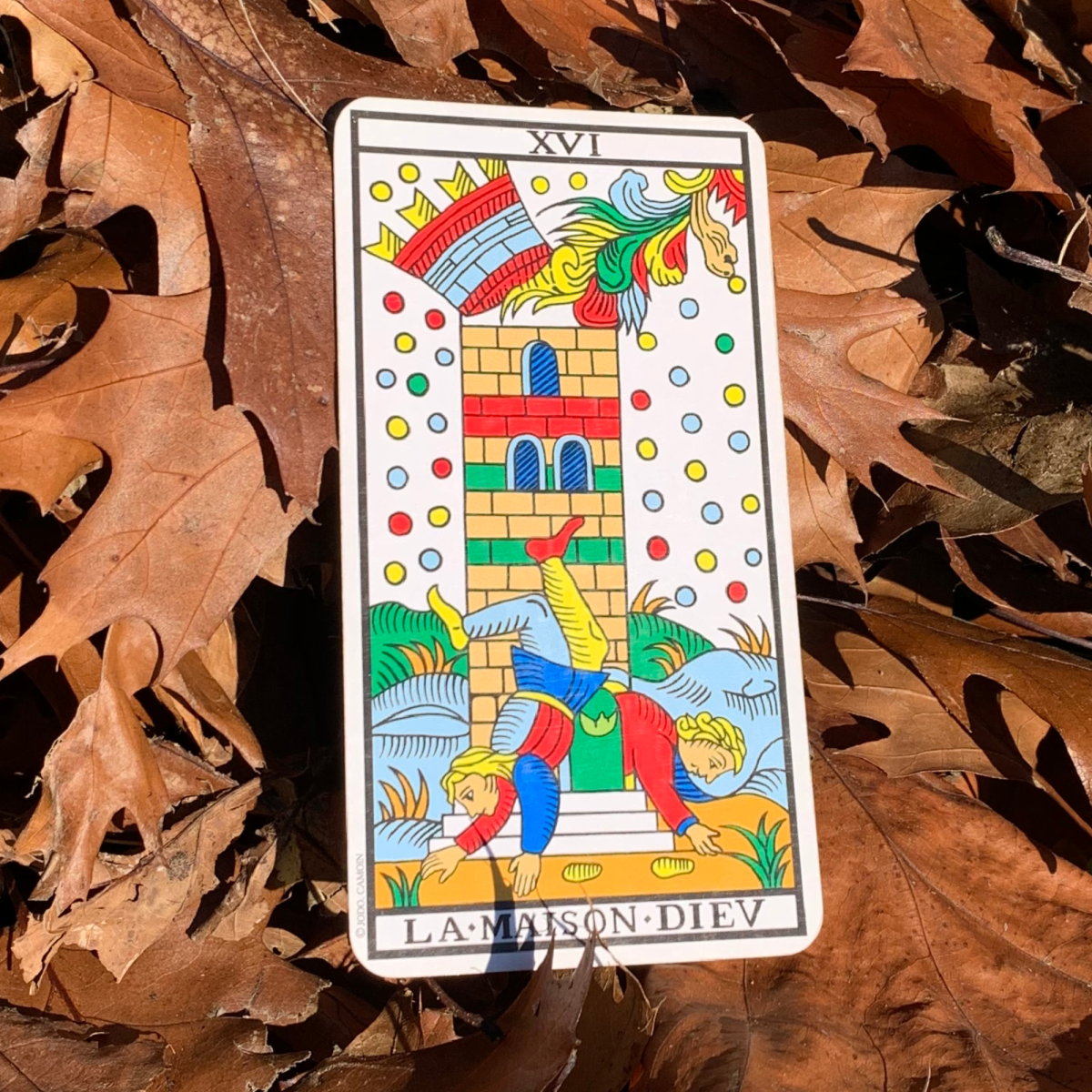 16 • La&nbsp;Torre