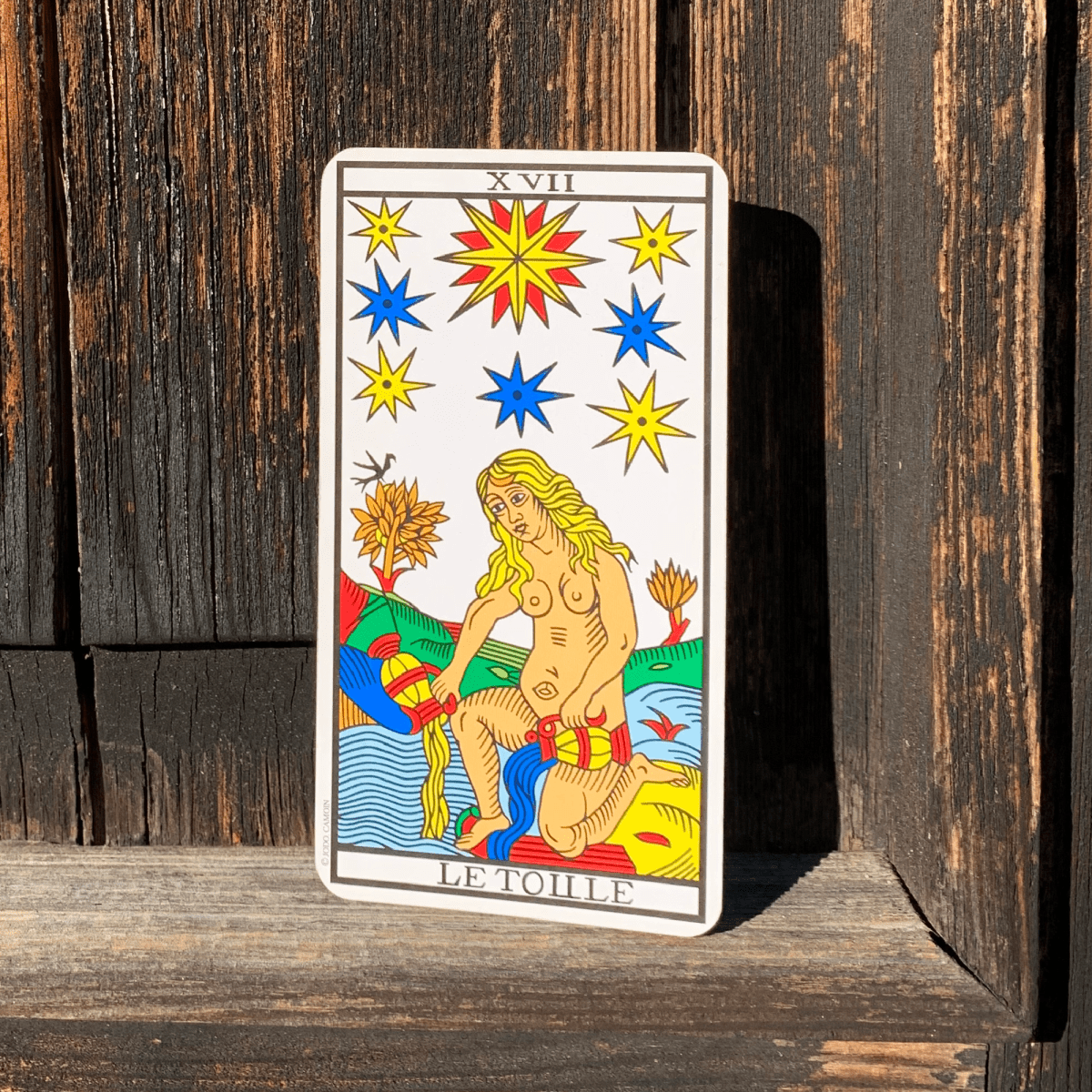 17 • La&nbsp;Stella